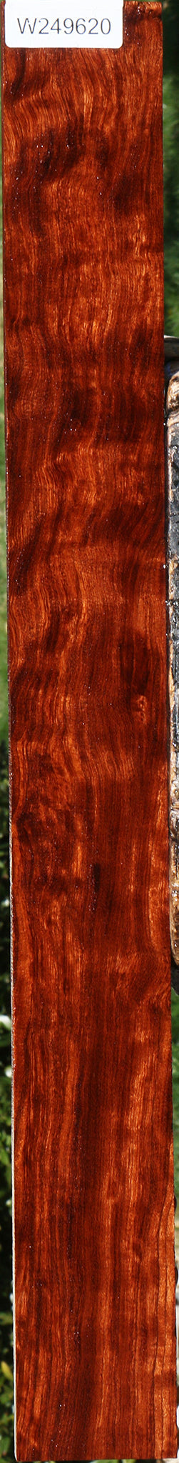 Extra Fancy Bubinga Micro Lumber