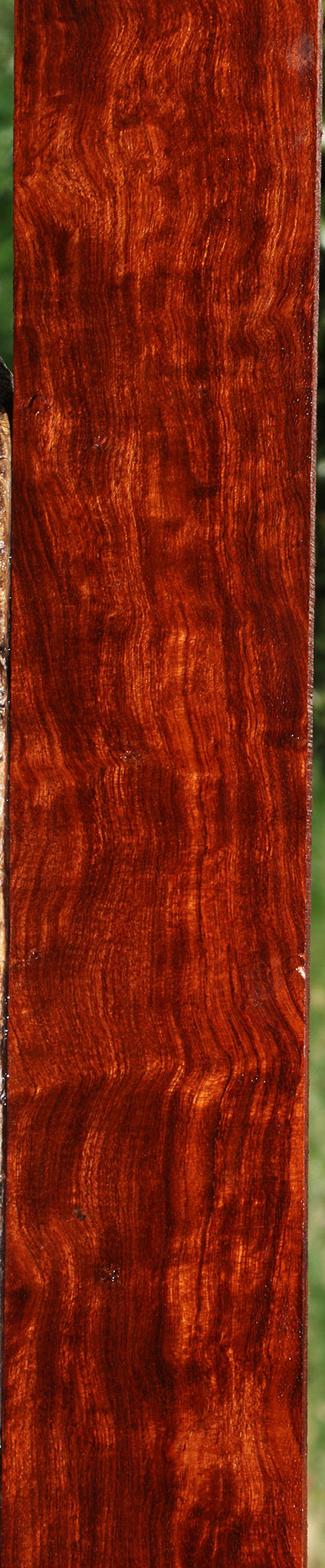 Extra Fancy Bubinga Micro Lumber