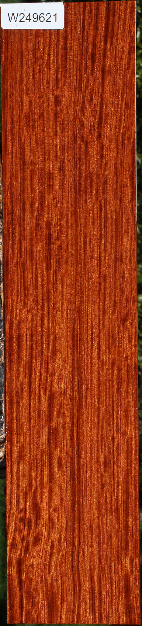 Figured Quartersawn Bubinga Micro Lumber