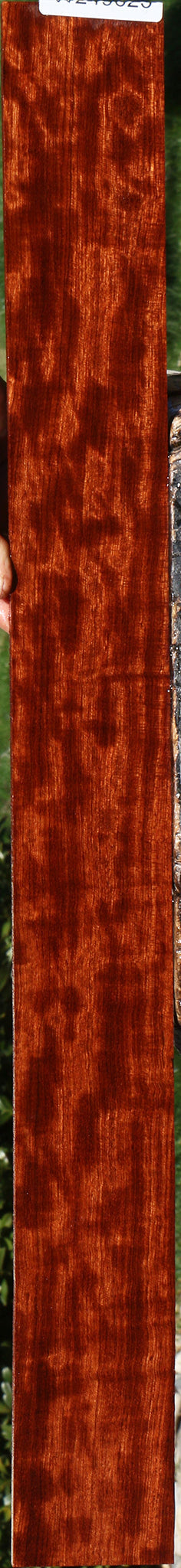 Extra Fancy Bubinga Micro Lumber