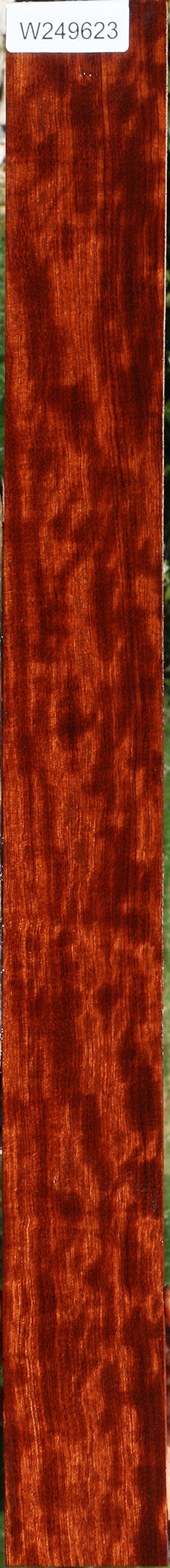Extra Fancy Bubinga Micro Lumber