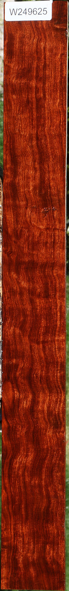 Extra Fancy Bubinga Micro Lumber