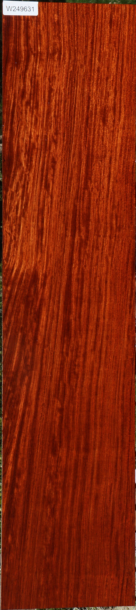 Figured Quartersawn Bubinga Lumber