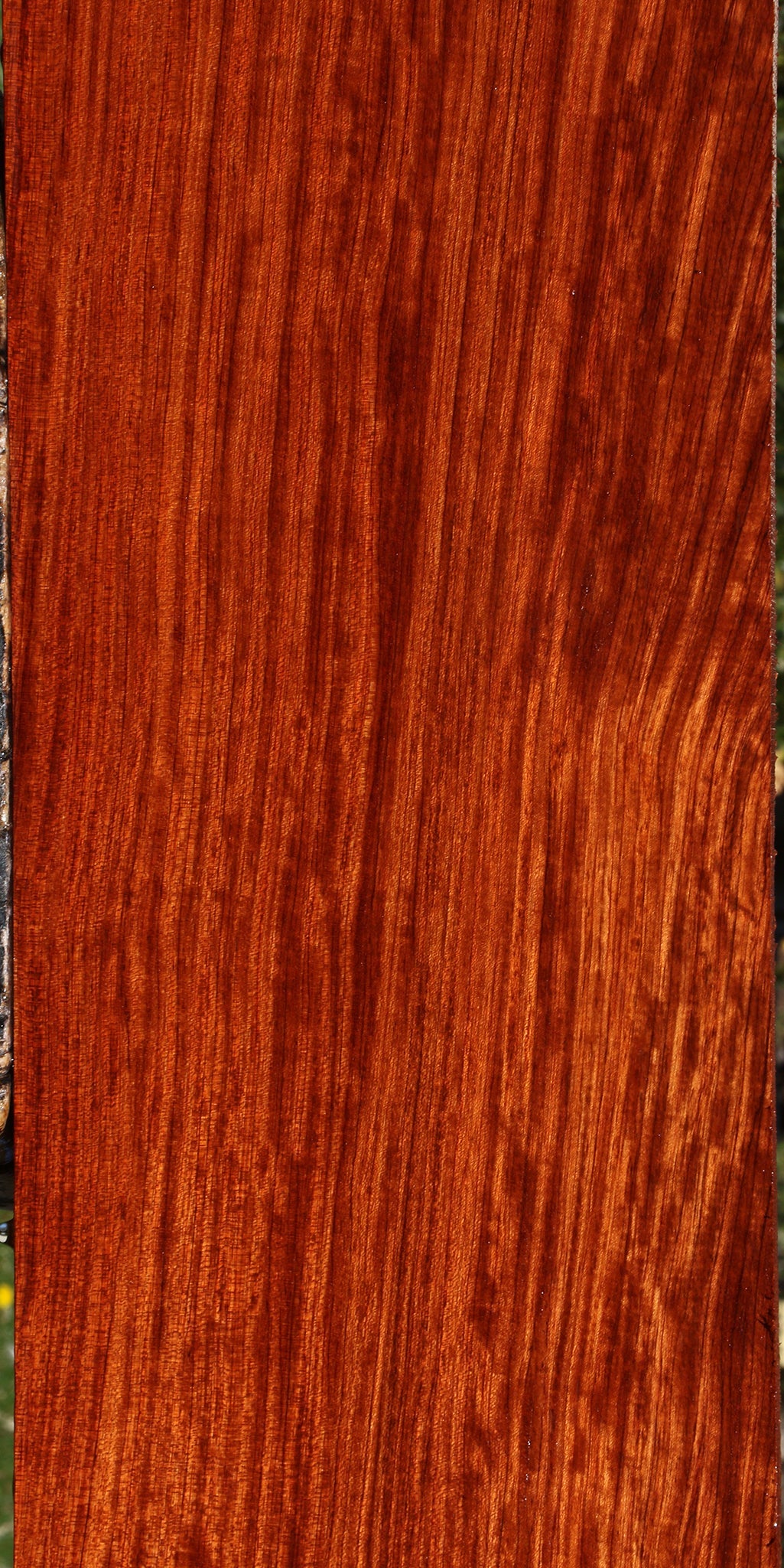 Figured Quartersawn Bubinga Lumber