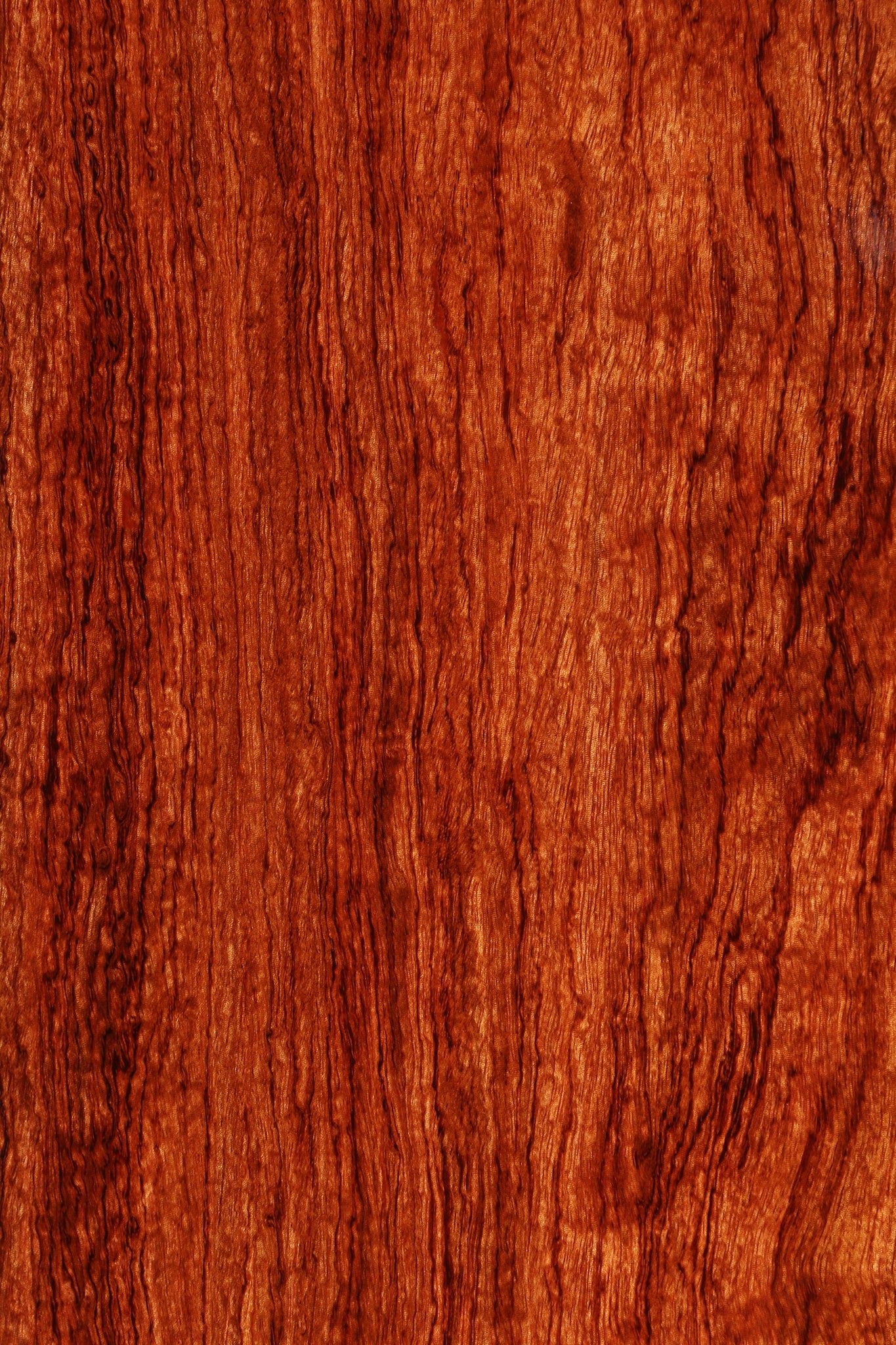 Extra Fancy Bubinga Lumber