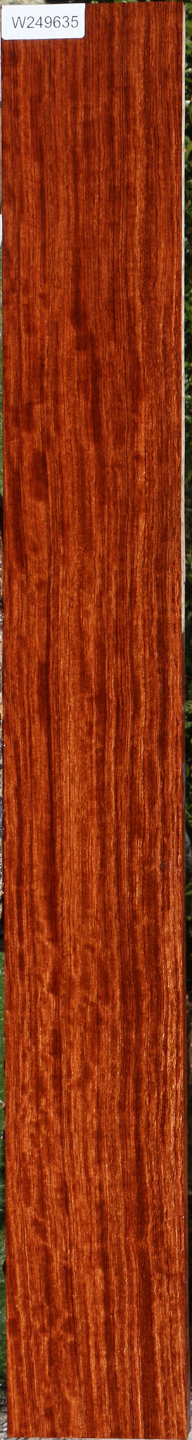 Figured Quartersawn Bubinga Lumber