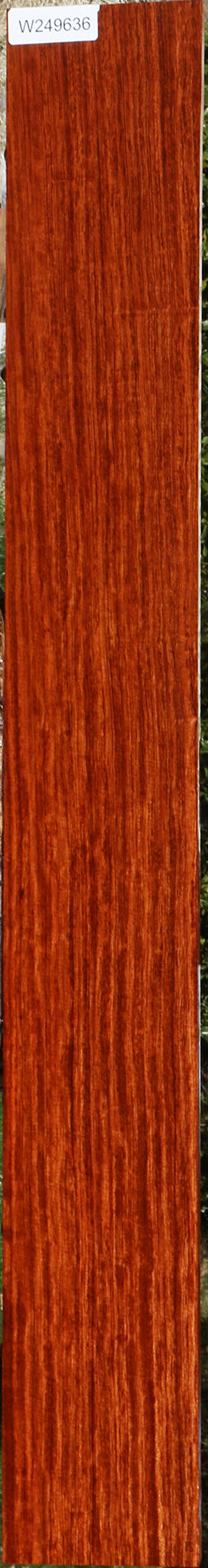 Figured Quartersawn Bubinga Lumber