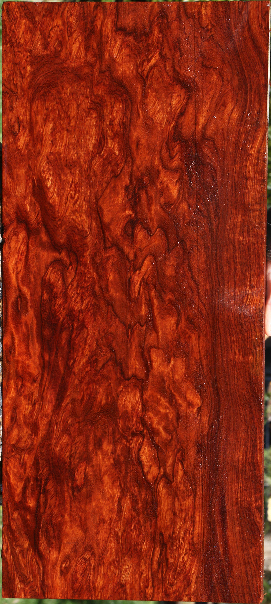 Exhibition Bubinga Instrument Lumber