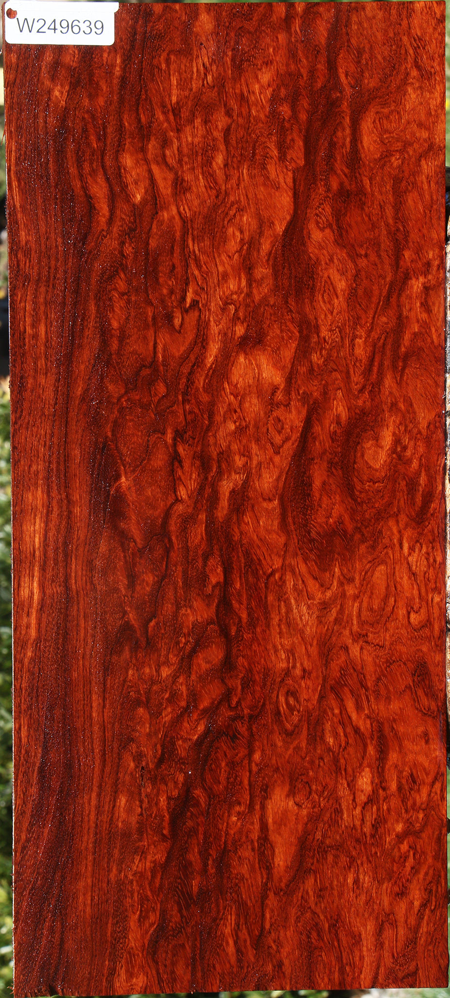 Exhibition Bubinga Instrument Lumber