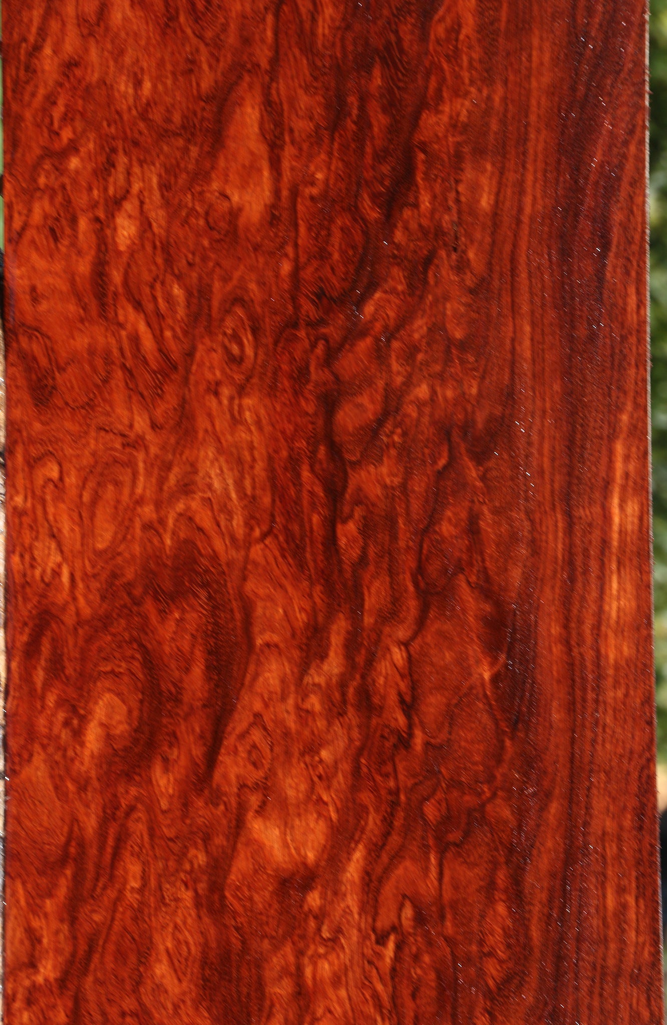 Exhibition Bubinga Instrument Lumber