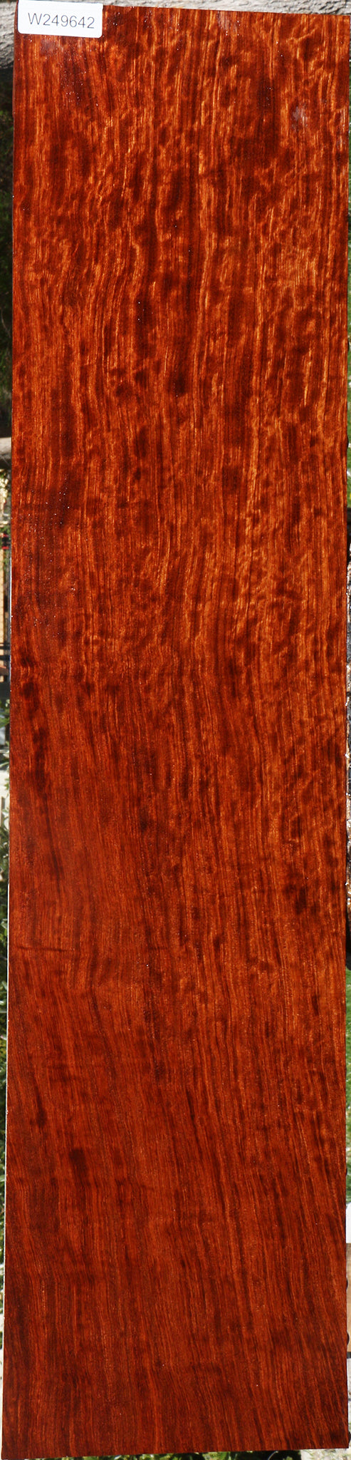 Extra Fancy Quartersawn Bubinga Lumber