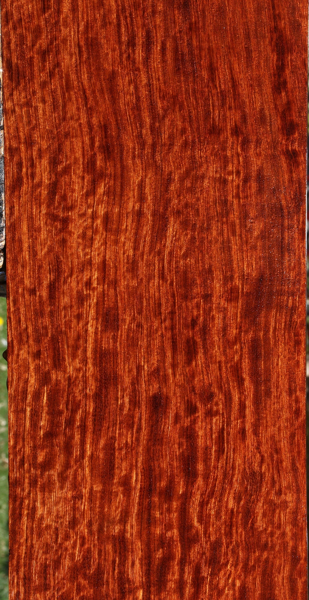 Extra Fancy Quartersawn Bubinga Lumber