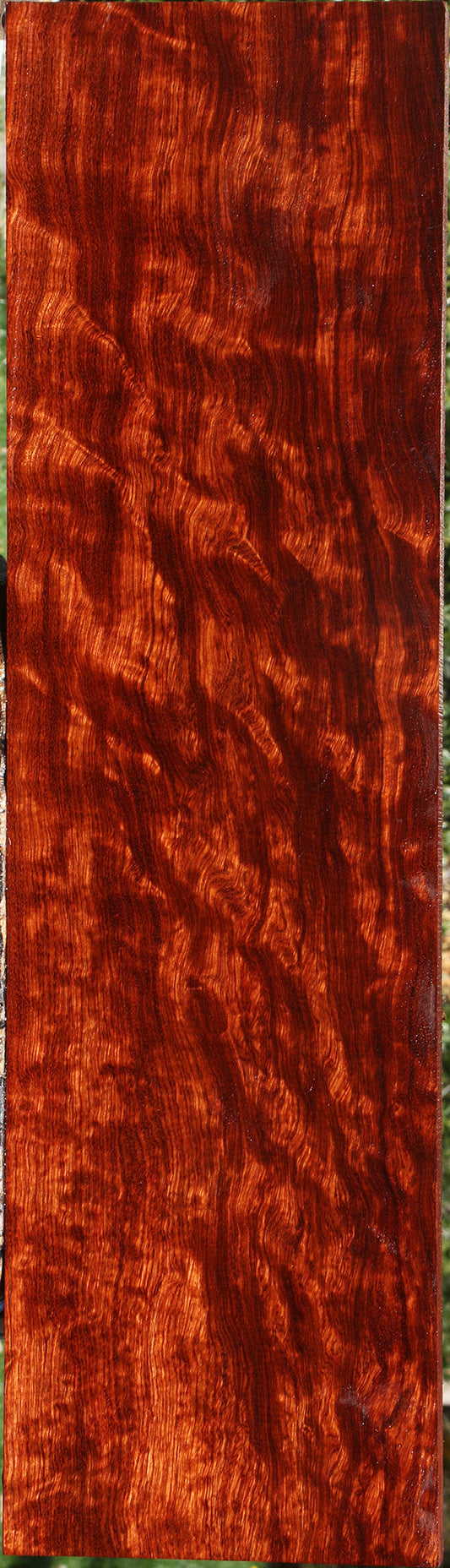 Exhibition Bubinga Lumber