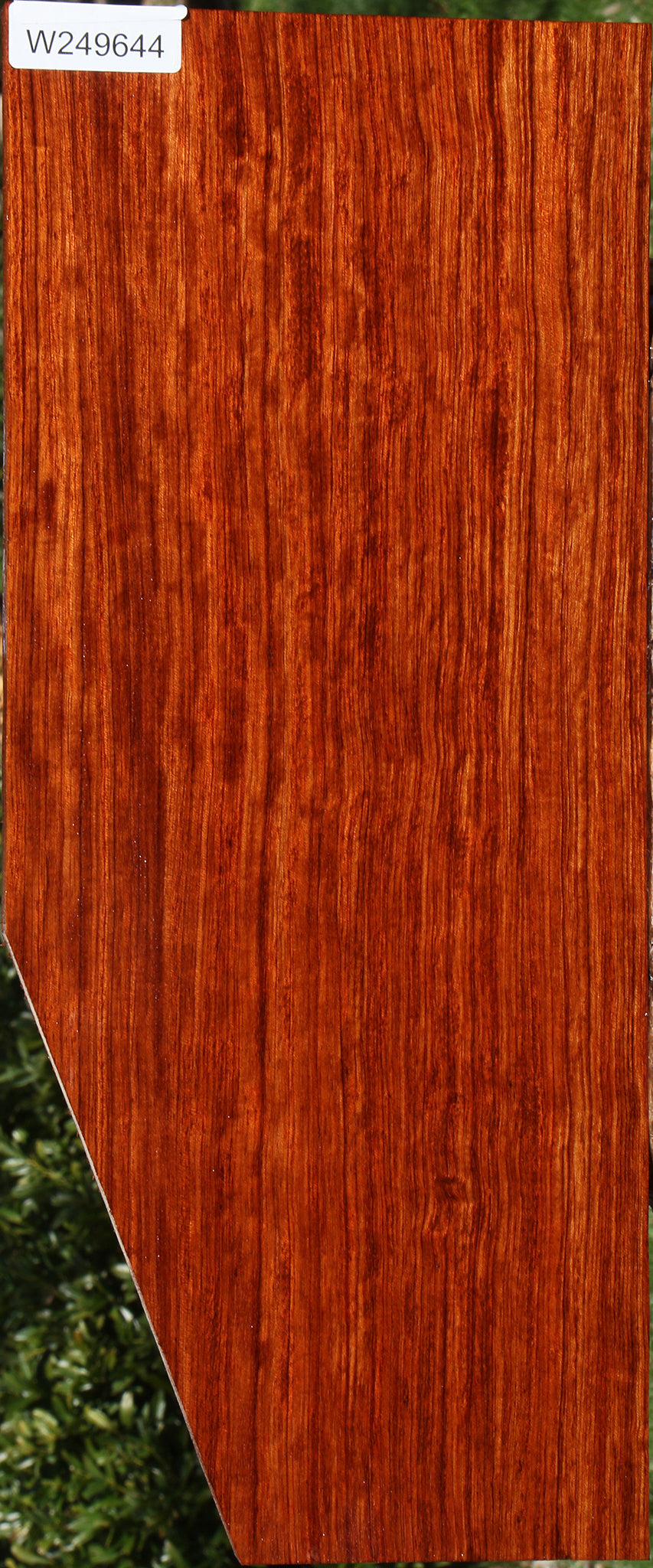 Figured Quartersawn Bubinga Instrument Lumber
