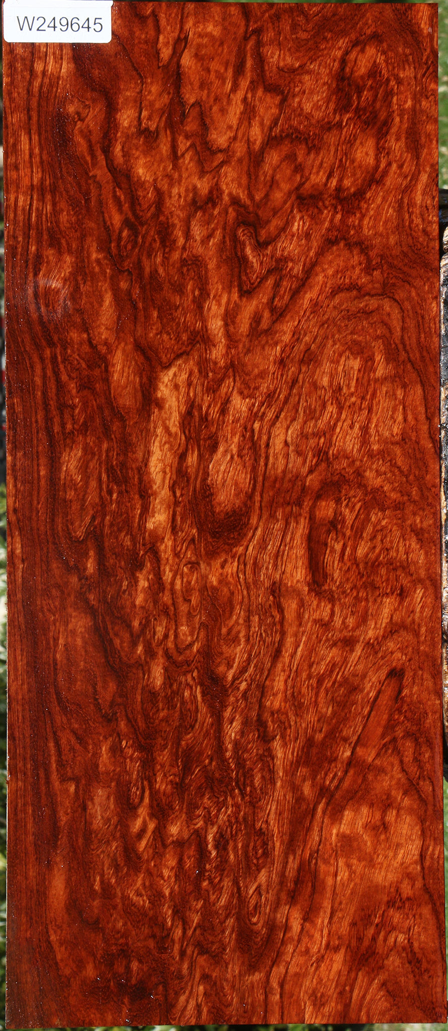 Exhibition Bubinga Instrument Lumber