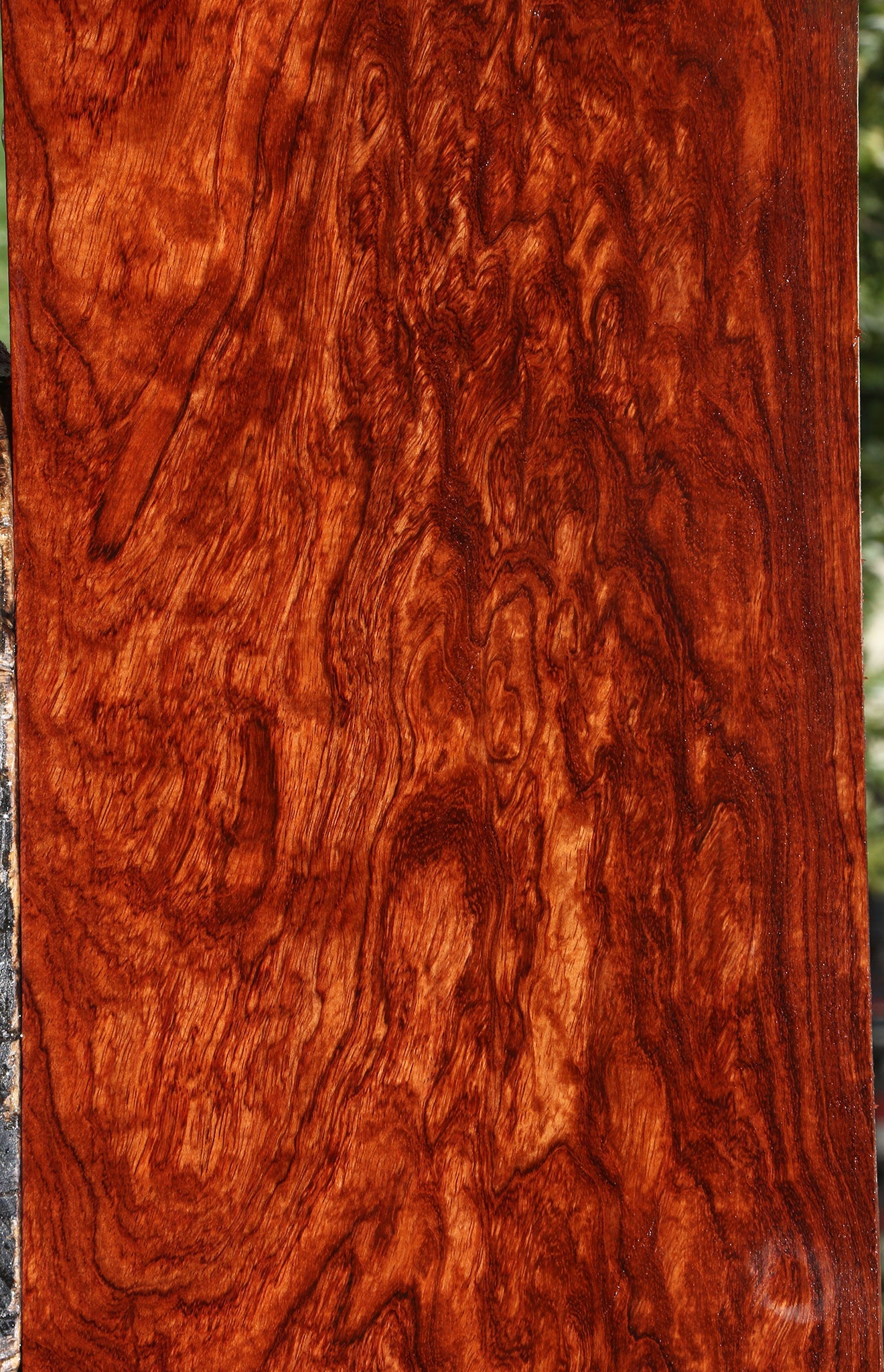 Exhibition Bubinga Instrument Lumber