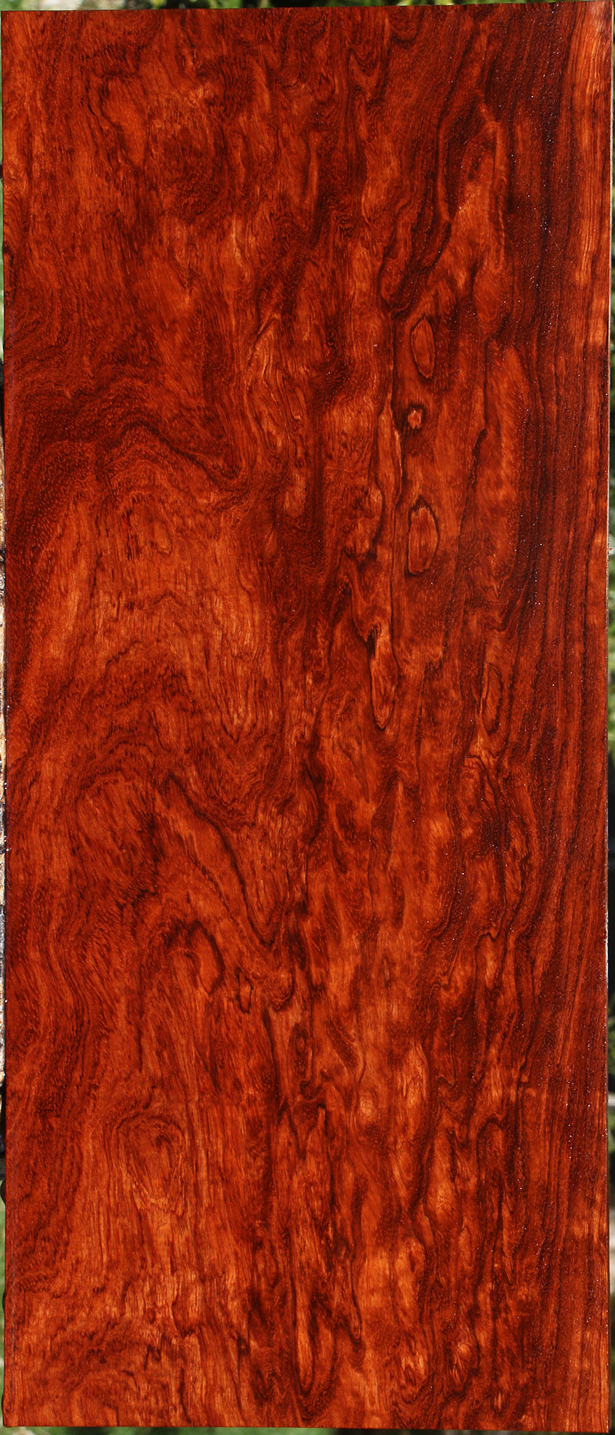 Exhibition Bubinga Instrument Lumber