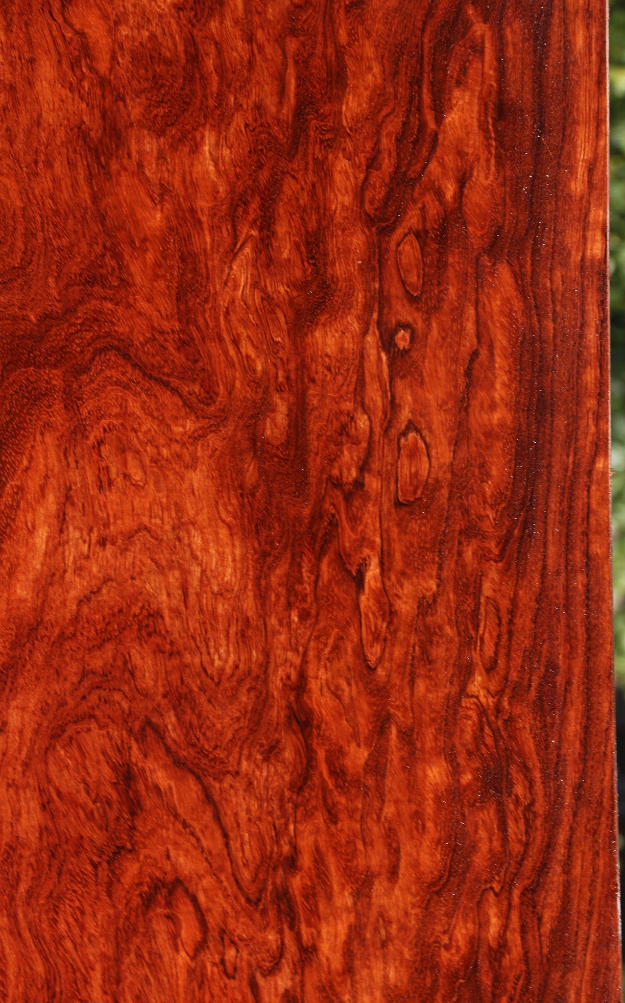 Exhibition Bubinga Instrument Lumber