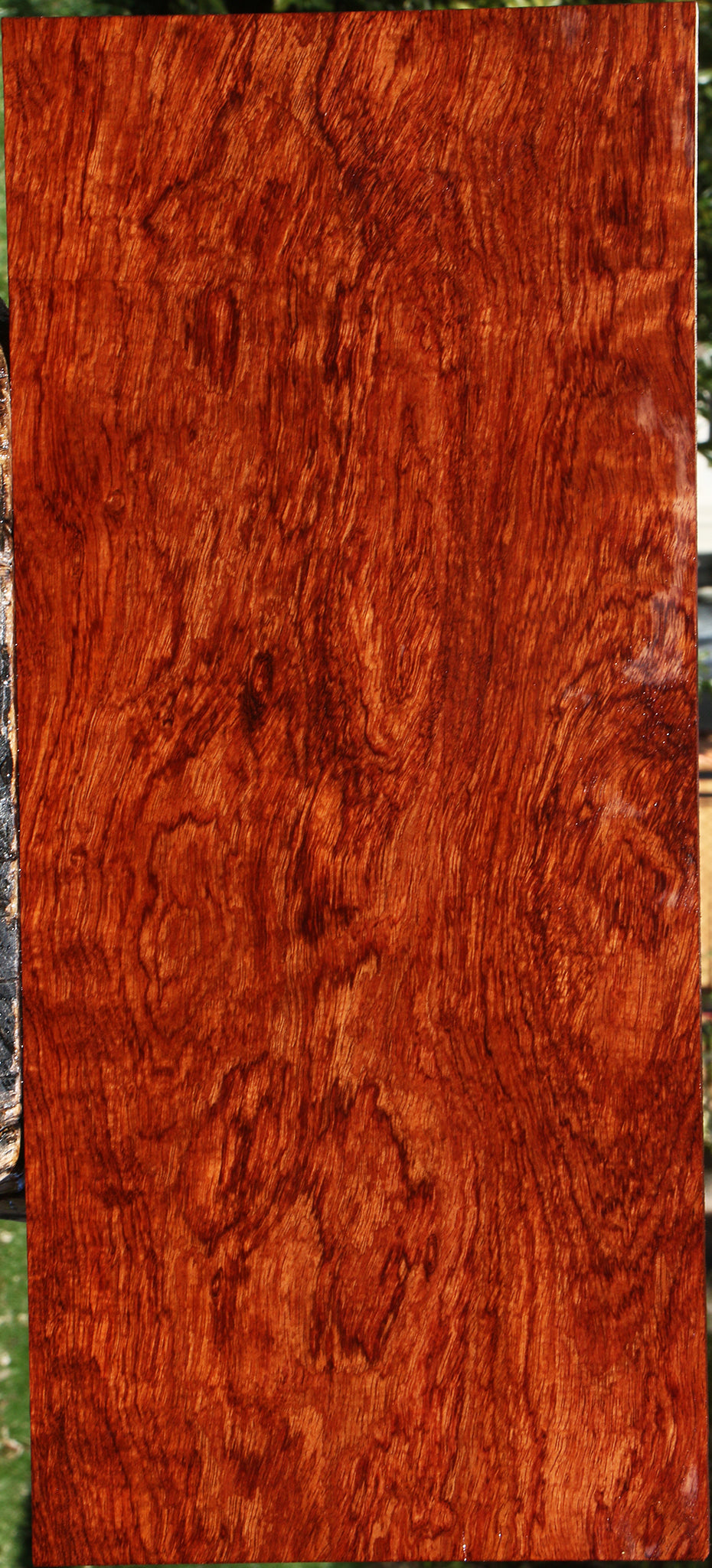 Extra Fancy Bubinga Lumber