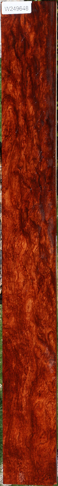 Exhibition Bubinga Lumber