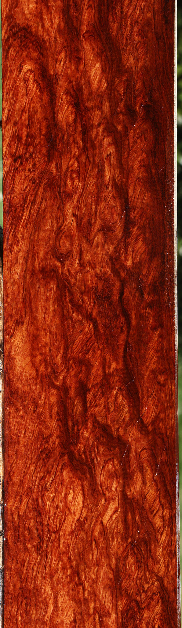 Exhibition Bubinga Lumber