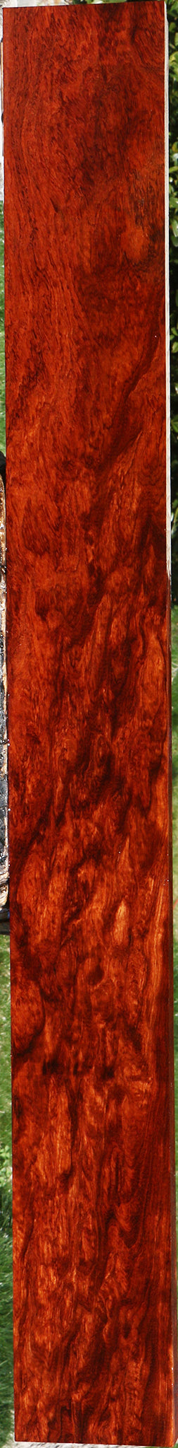 Exhibition Bubinga Lumber