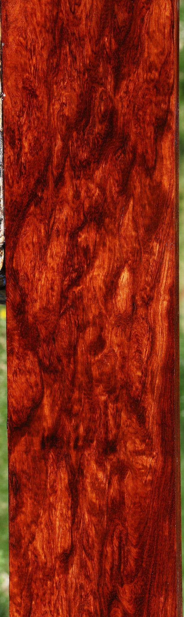 Exhibition Bubinga Lumber