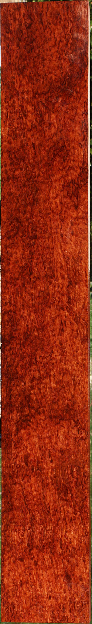 Exhibition Pomelle Bubinga Lumber