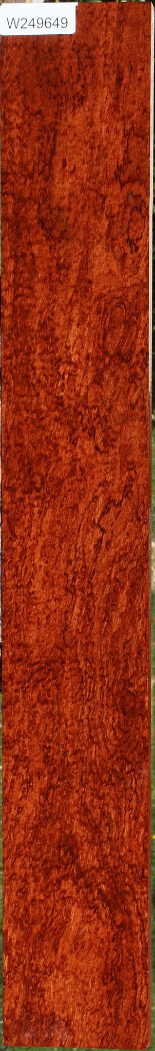 Exhibition Pomelle Bubinga Lumber