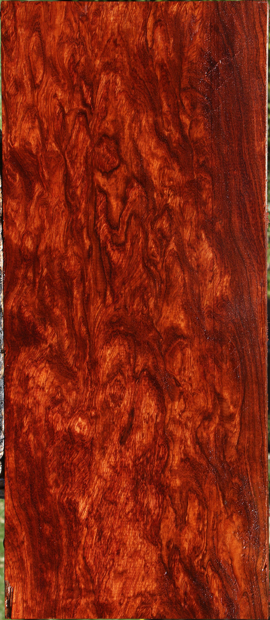 Exhibition Bubinga Instrument Lumber