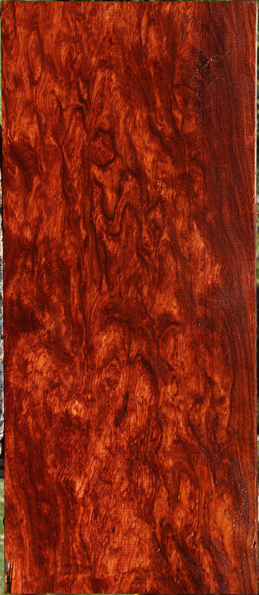 Exhibition Bubinga Instrument Lumber