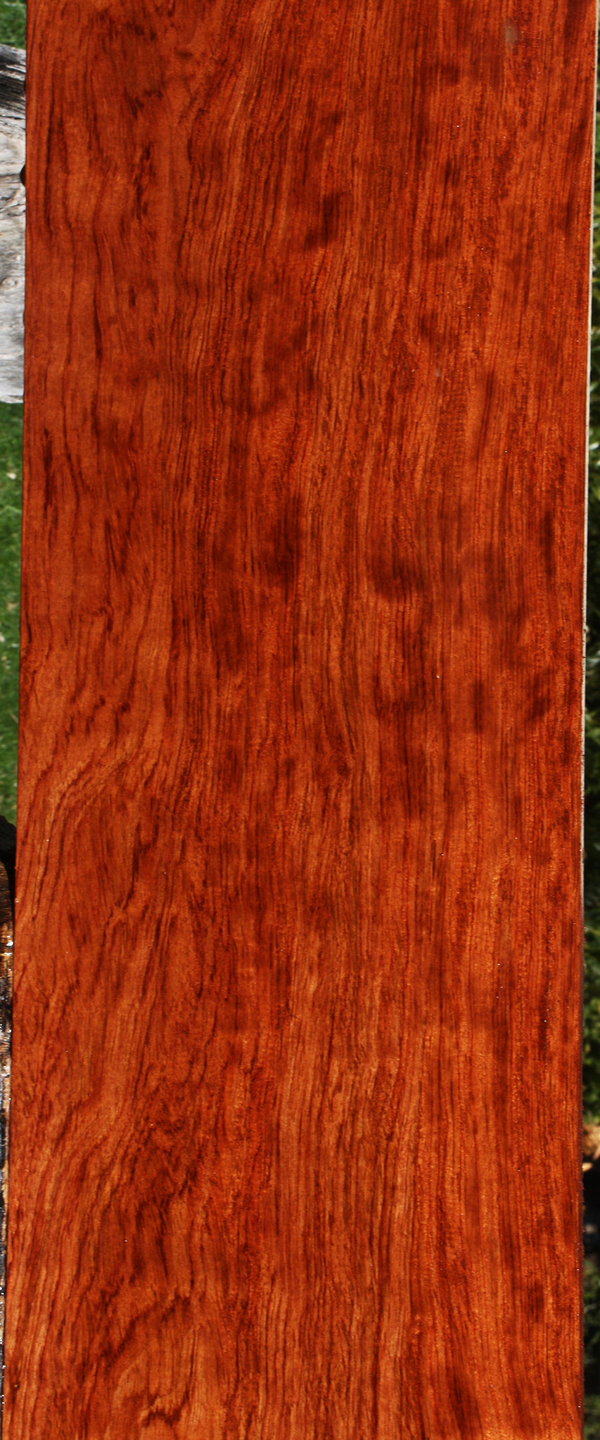 Extra Fancy Bubinga Lumber