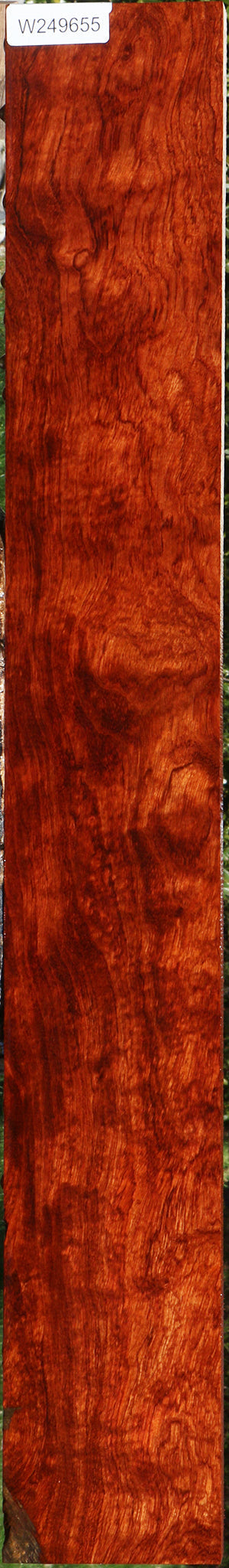 Extra Fancy Bubinga Lumber
