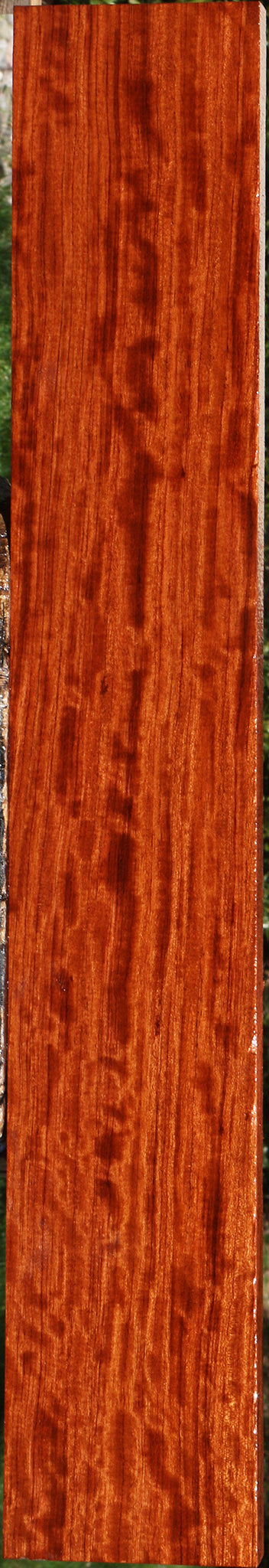 Extra Fancy Quartersawn Bubinga Lumber