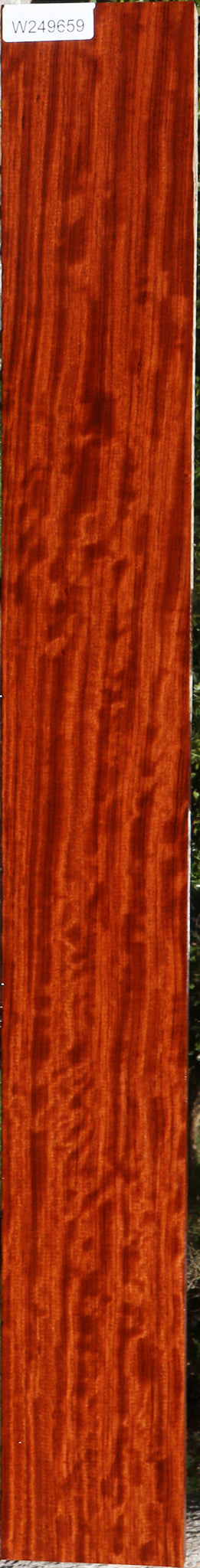 Figured Bubinga Lumber