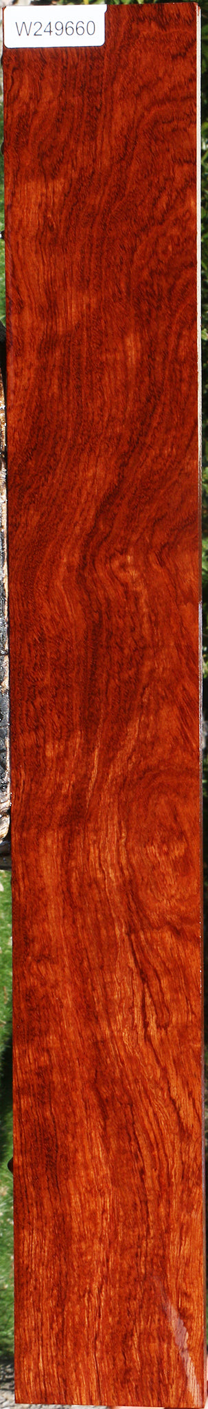 Extra Fancy Bubinga Lumber
