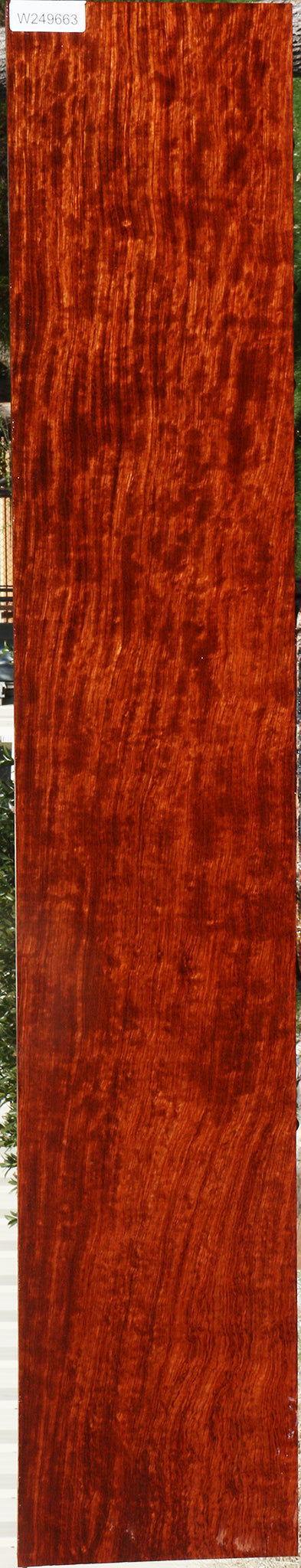 Figured Bubinga Lumber