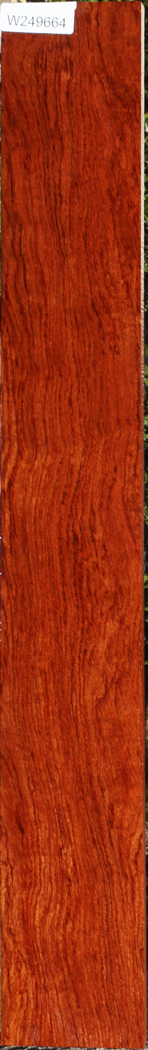 Extra Fancy Bubinga Lumber