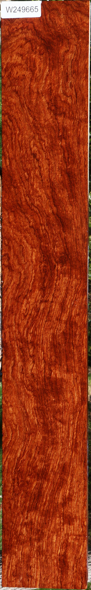 Extra Fancy Bubinga Lumber