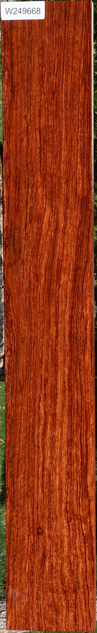 Figured Bubinga Lumber