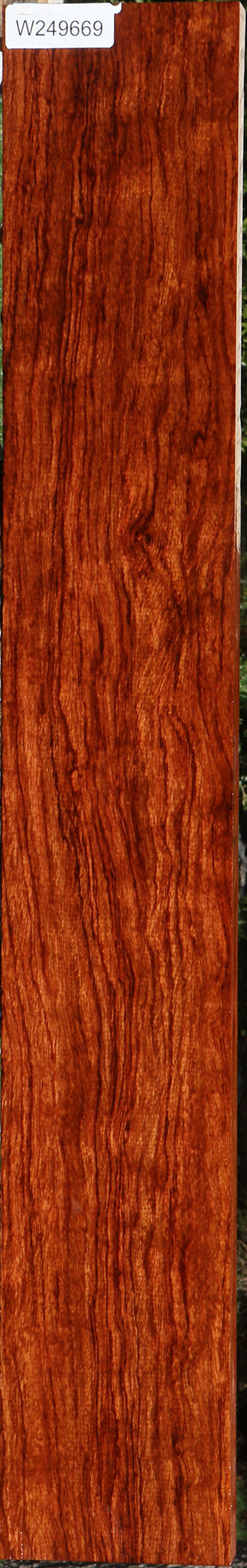 Figured Bubinga Lumber