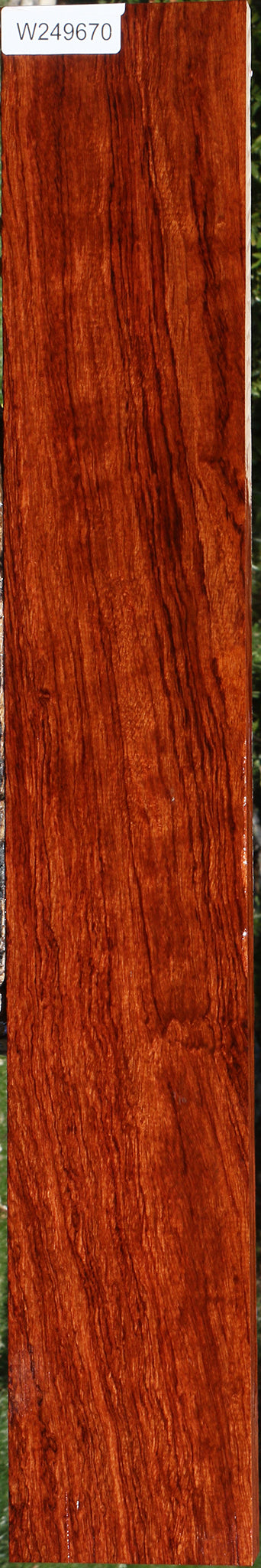 Figured Bubinga Lumber