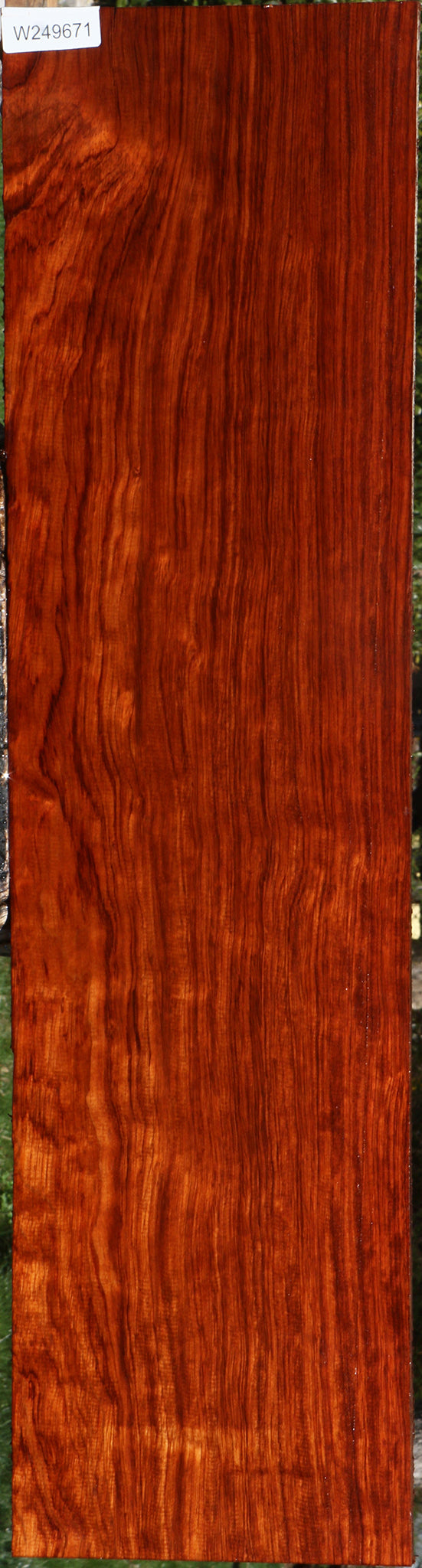 Extra Fancy Bubinga Lumber