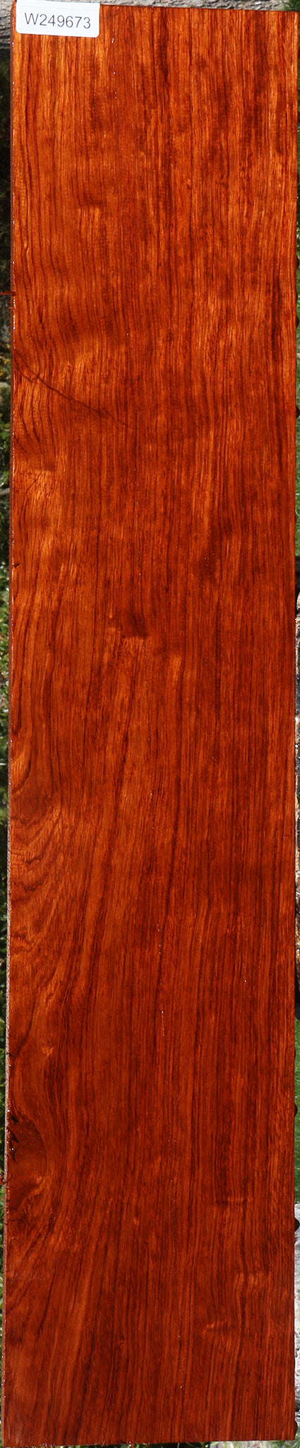 Extra Fancy Bubinga Lumber
