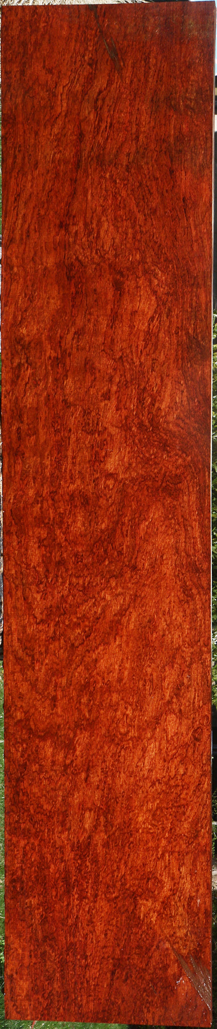 Exhibition Bubinga Lumber