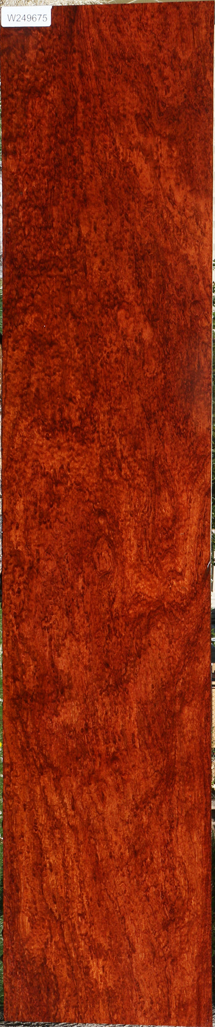 Exhibition Bubinga Lumber