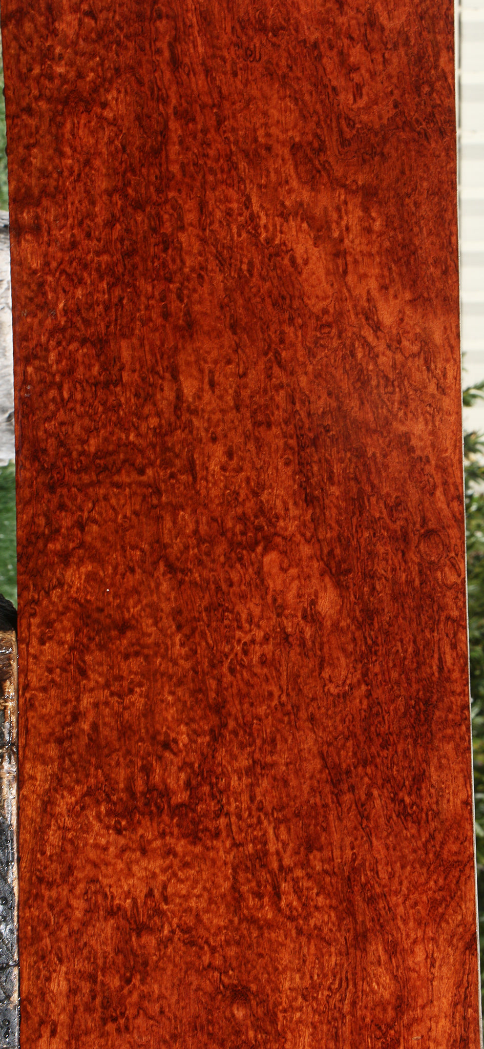 Exhibition Bubinga Lumber