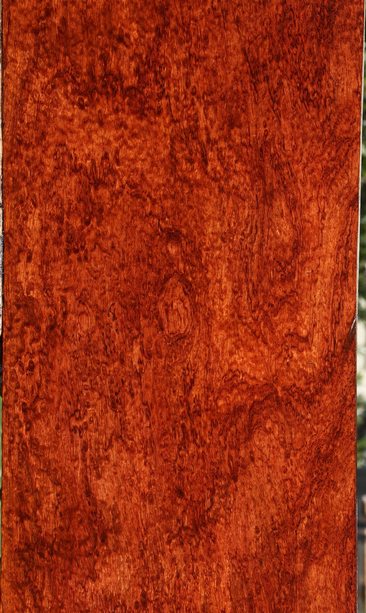 Exhibition Bubinga Lumber