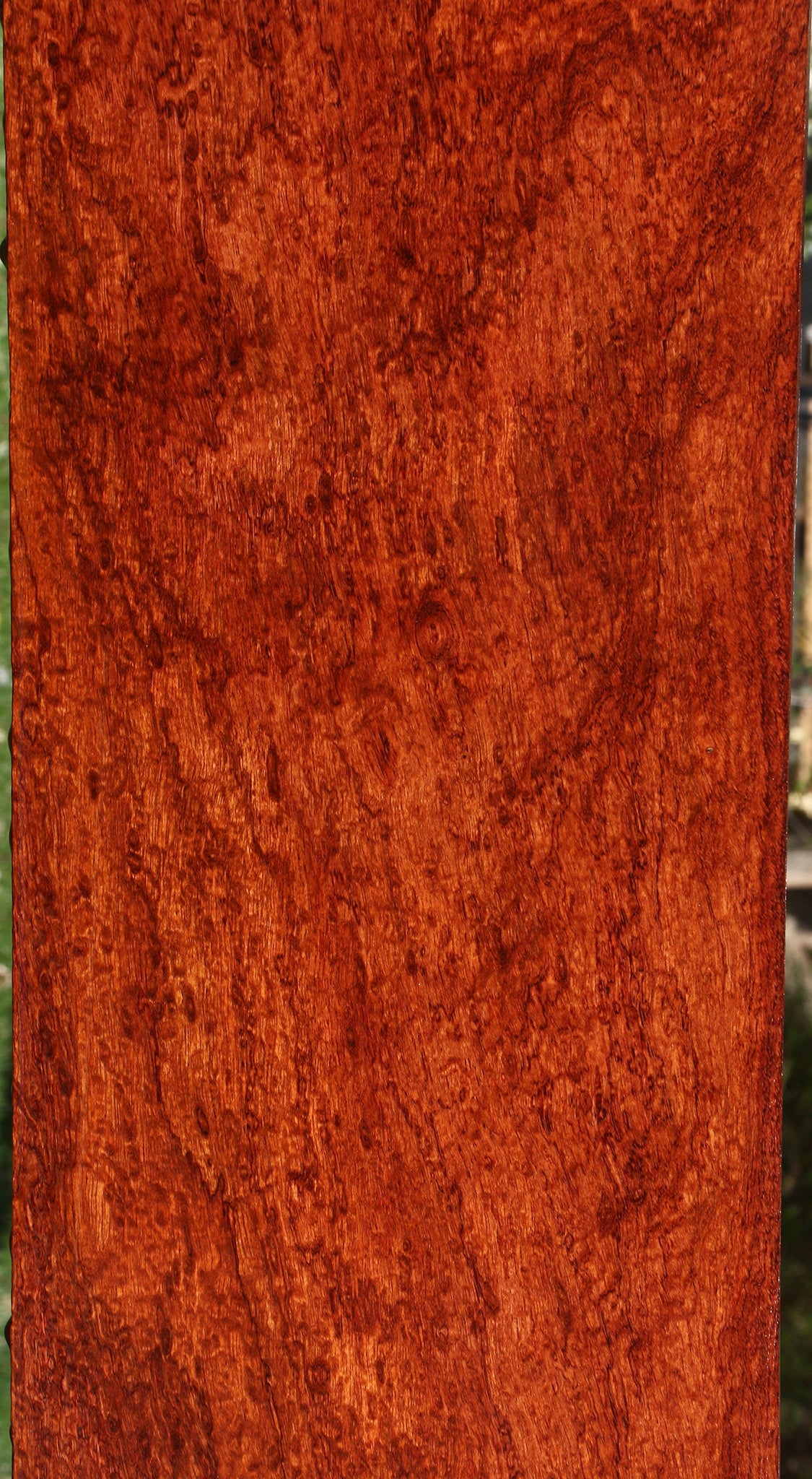 Exhibition Bubinga Lumber