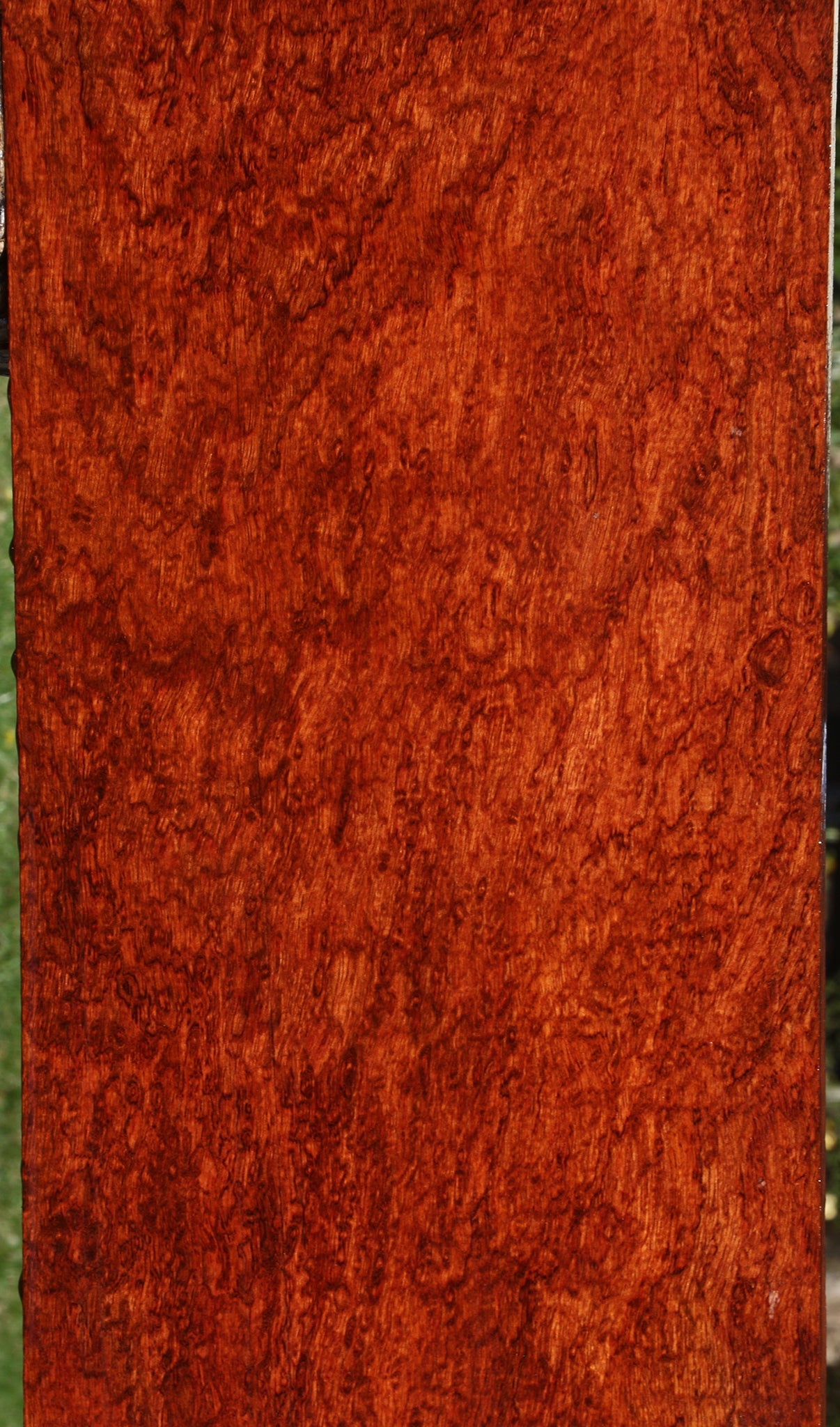Exhibition Bubinga Lumber